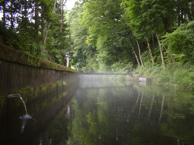 0607092000_0101_000113AA.JPG