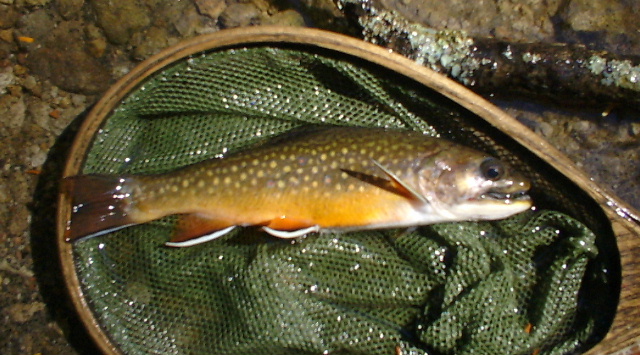 09240003.JPG