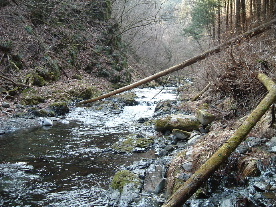 2006_0311_150203AA.JPG