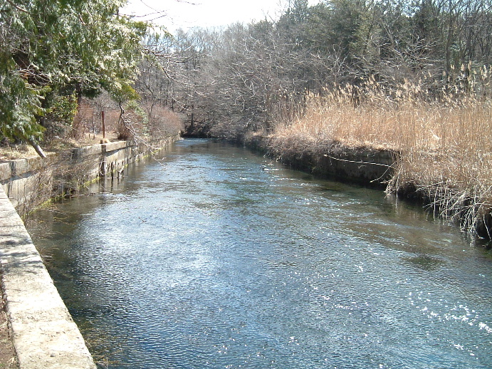2006_0319_115345AA.JPG