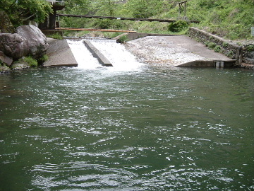 2006_0514_142842AA.JPG