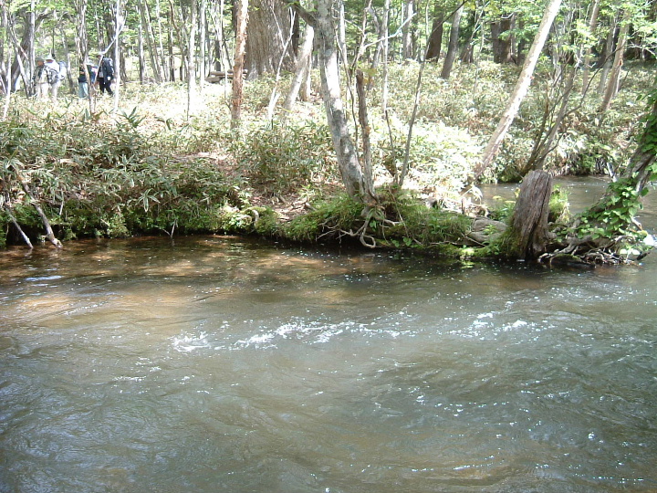DSCF0057.JPG