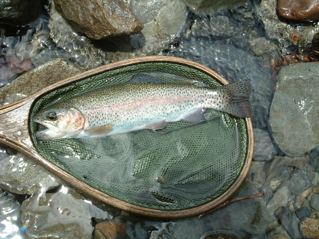DSCF0116.JPG