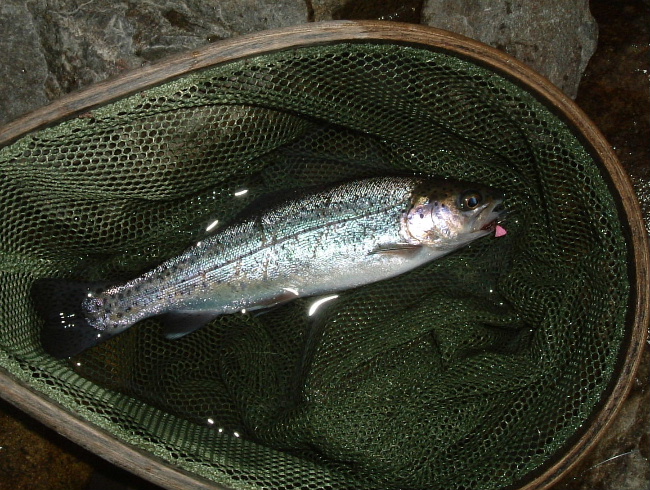 DSCF0236.JPG