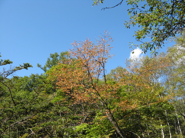 IMG_0373.JPG